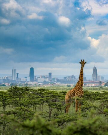 Nairobi City Tours